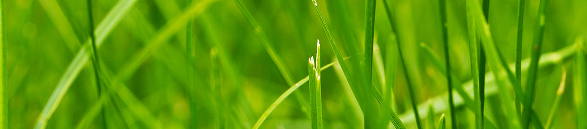 在线DDOS压力测试网页端